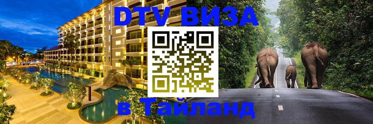Оформление DTV визы под ключ: стоимость и тарифы, только загранпаспорт - Доха  18.11.2025 